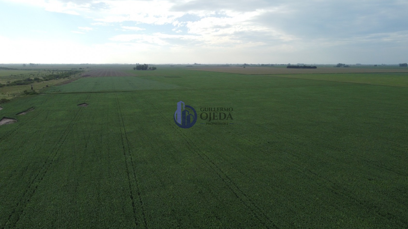 Campo Agricola 150 Hectareas San Genaro 